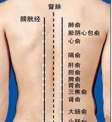 按摩膀胱经能治愈13种病，你不知道吧？